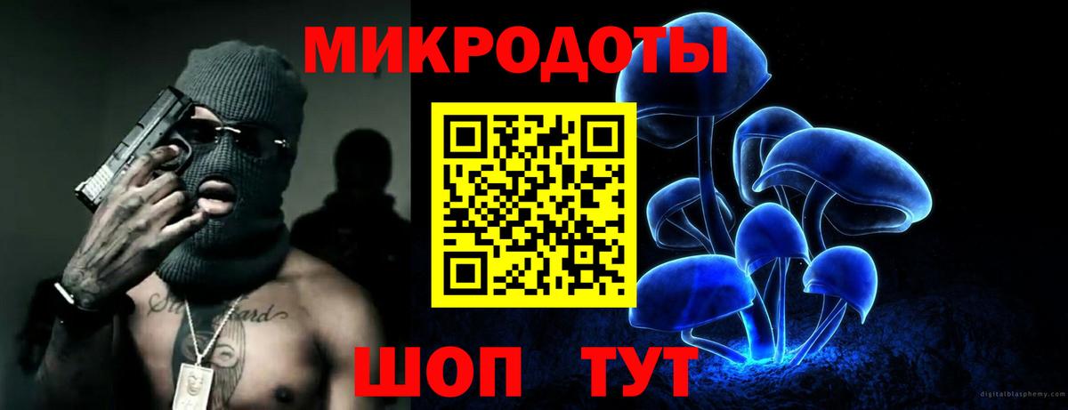 Пугачёв  Псилоцибиновые грибы Cubensis  Вход с VPN 
