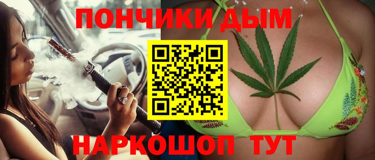Пугачёв  МАРИХУАНА план  Вход с VPN  Каннабис ГИДРОПОН 
